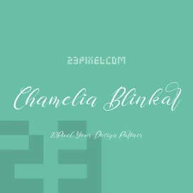 Chamelia Blinkar